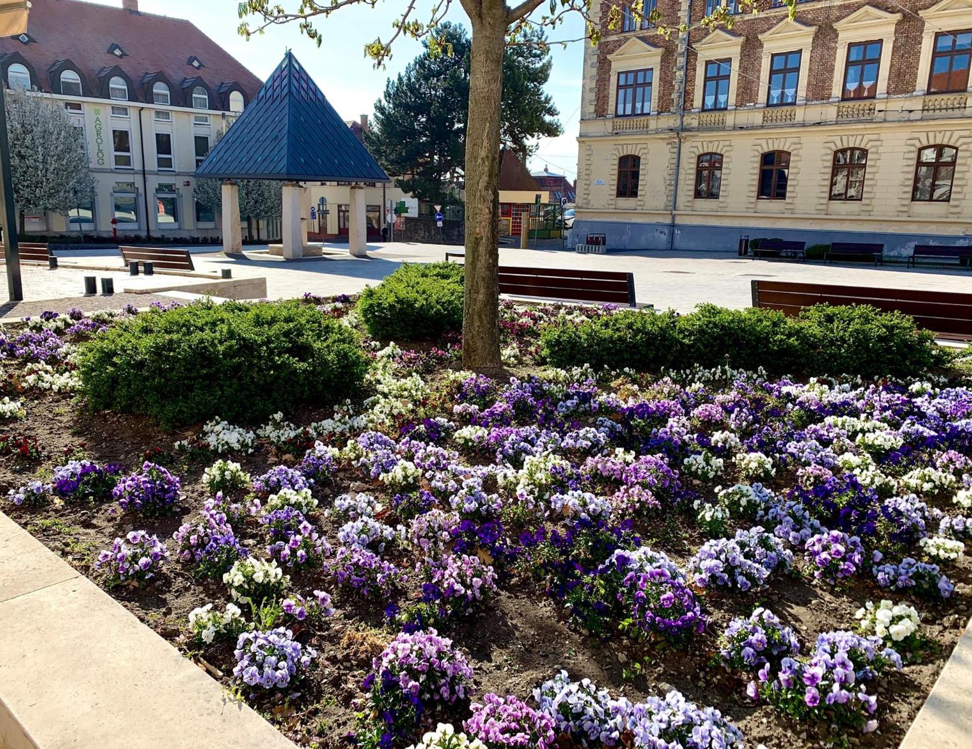 Ciao Lilla Apartman Keszthely Zewnętrze zdjęcie