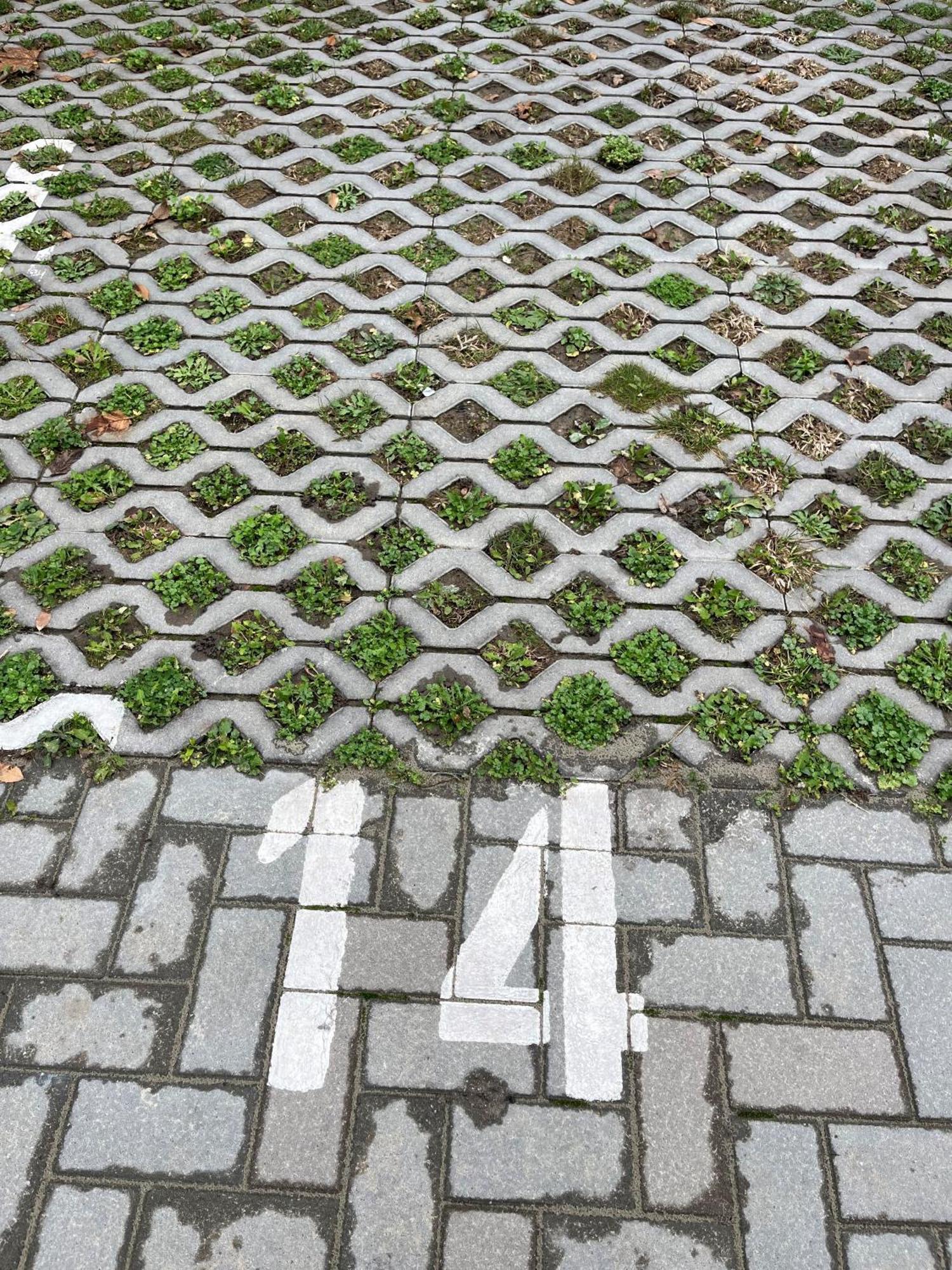 Ciao Lilla Apartman Keszthely Zewnętrze zdjęcie